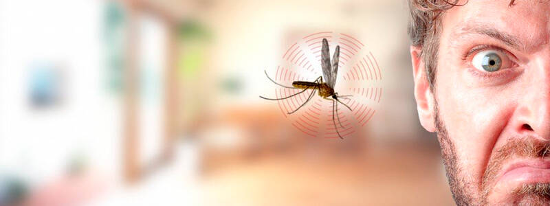Средства борьбы с комарами: эффективные и неэффективные
